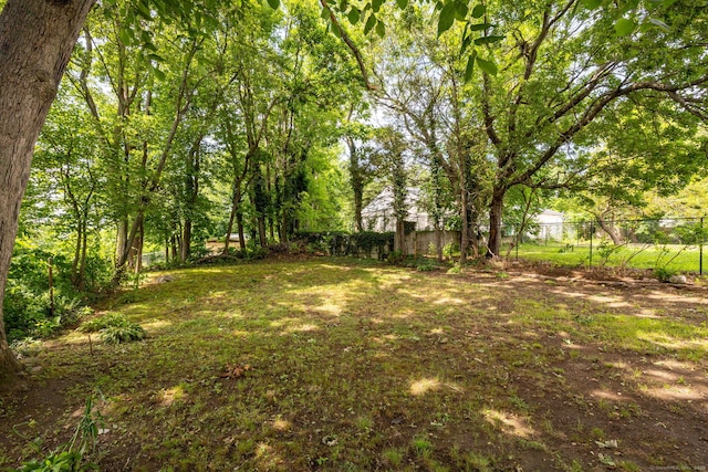 21 Whittlesey Ave, Waterbury, CT 06706 - view of yard