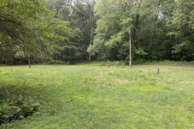 76 Bushy Hill Rd, Deep River, CT 06417 - view of yard featuring a forest view