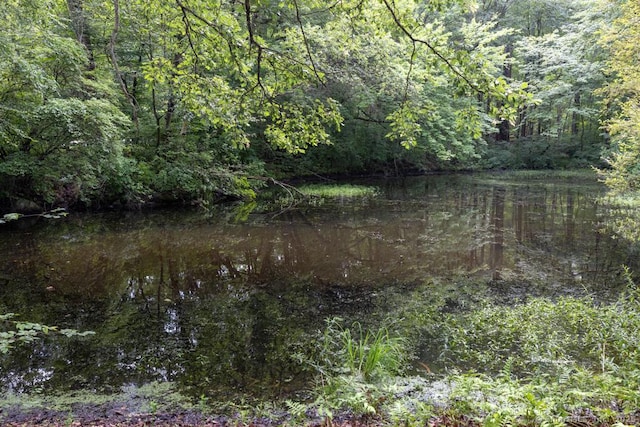 76 Bushy Hill Rd, Deep River, CT 06417 - water view with a heavily wooded area