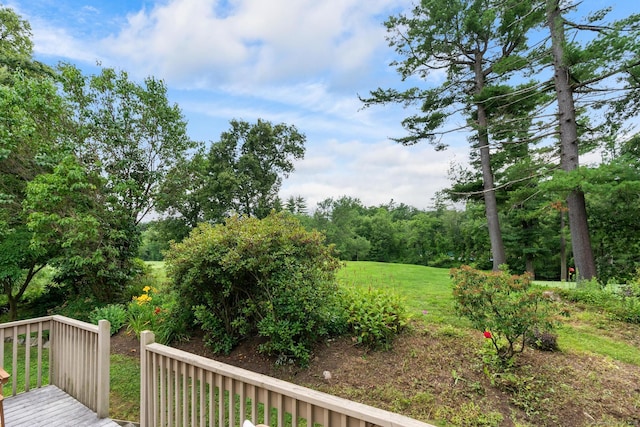 11 Branford Ct, Avon, CT 06001 - photo 32