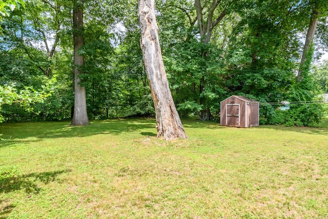 76 Landers Rd, East Hartford, CT 06118 - view of green lawn with a storage shed