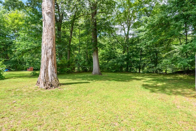 76 Landers Rd, East Hartford, CT 06118 - view of grassy yard