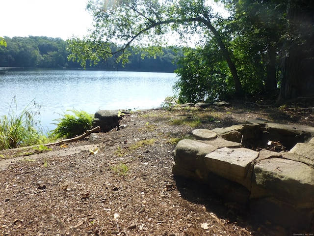 5 Tower Hill Lake Rd, Deep River, CT 06417 - water view with a heavily wooded area