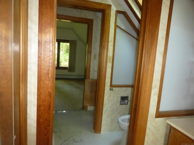 5 Tower Hill Lake Rd, Deep River, CT 06417 - hallway with vaulted ceiling and a baseboard radiator