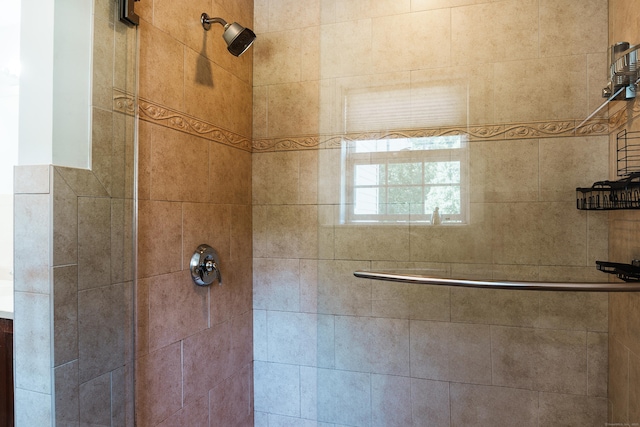 14 Last Leaf Cir Unit 14, Windsor, CT 06095 - full bathroom with a tile shower