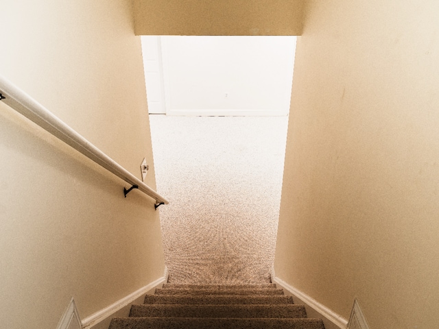 14 Last Leaf Cir Unit 14, Windsor, CT 06095 - stairs with carpet and baseboards