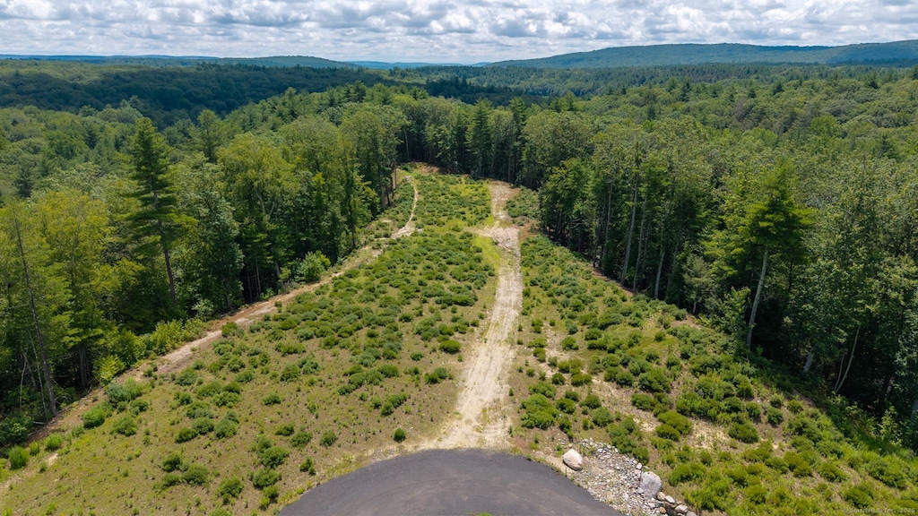 14 Peck Orchard Rd, Granby, CT 06060