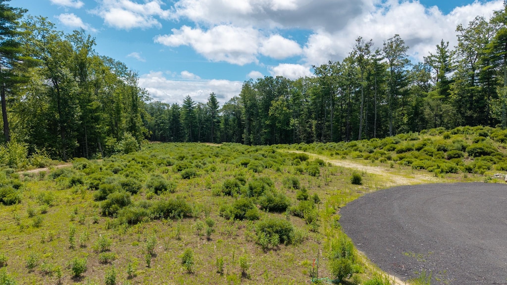 14 Peck Orchard Rd, Granby, CT 06060