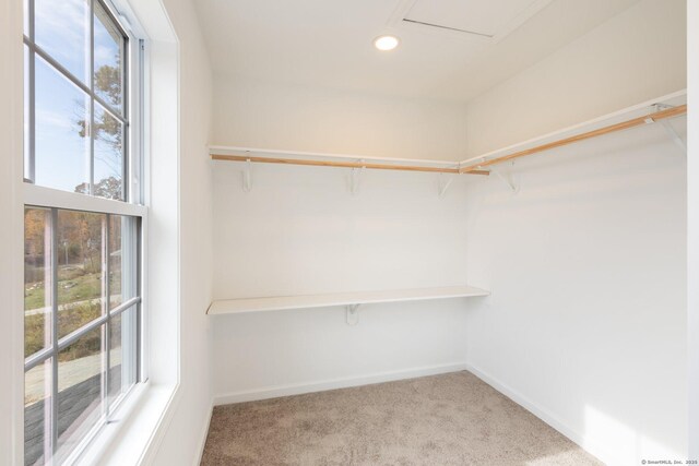 807 Pucker St, Coventry, CT 06238 - photo 25