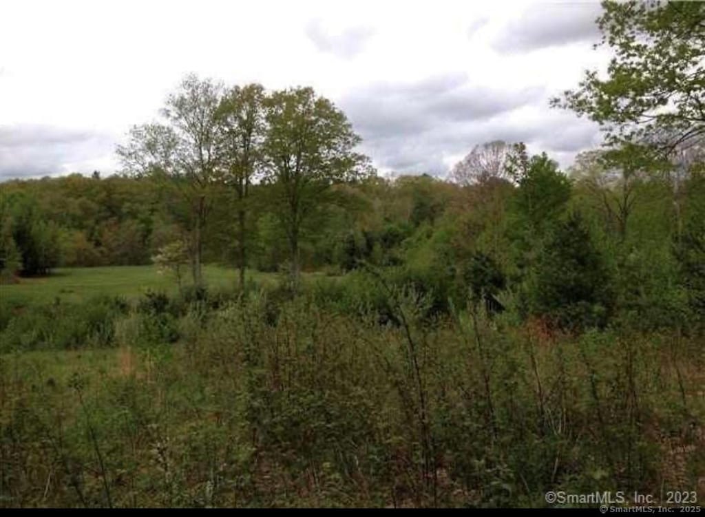 226 Goose Ln, Tolland, CT 06084 - photo 1