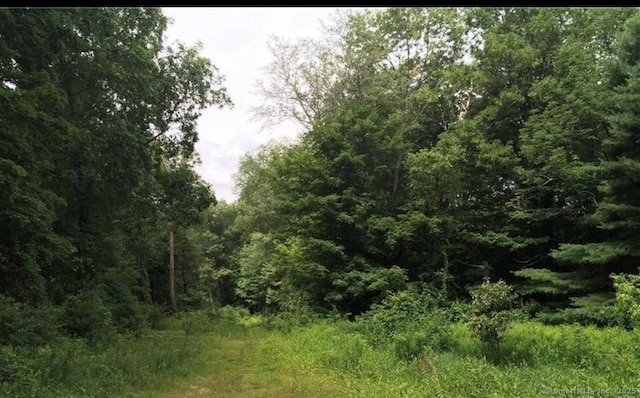 226 Goose Ln, Tolland, CT 06084 - photo 2
