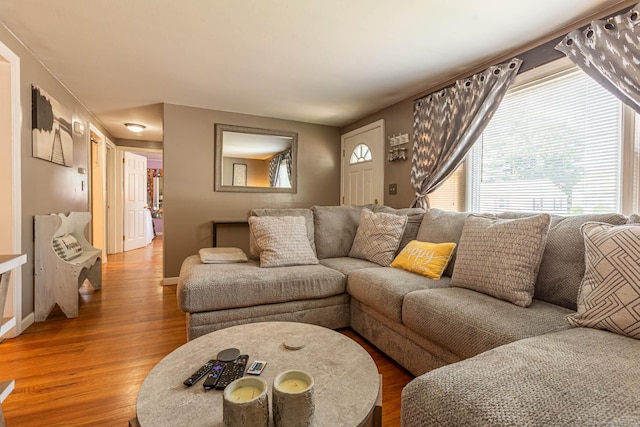 19 Marion St, Hartford, CT 06106 - living area featuring light wood-type flooring and healthy amount of natural light