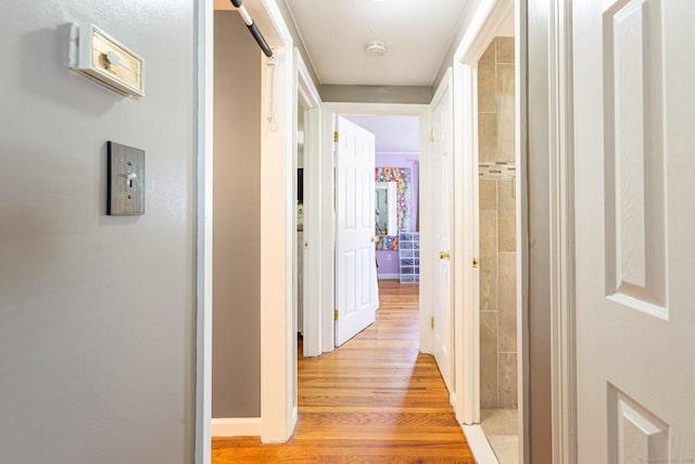 19 Marion St, Hartford, CT 06106 - corridor with light wood-style floors