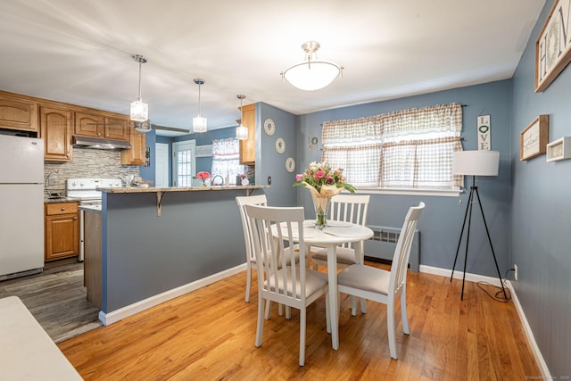 19 Marion St, Hartford, CT 06106 - dining area featuring light wood finished floors and radiator heating unit