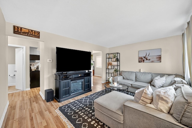 182 Shagbark Dr Unit 182, Derby, CT 06418 - living room featuring light wood finished floors and baseboards