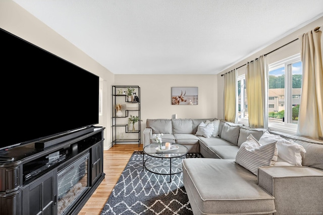 182 Shagbark Dr Unit 182, Derby, CT 06418 - living area with light wood-style floors