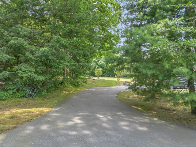 97 Doolittle Dr, Bethany, CT 06524 - photo 5