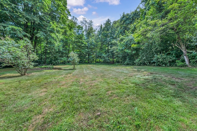 97 Doolittle Dr, Bethany, CT 06524 - photo 12