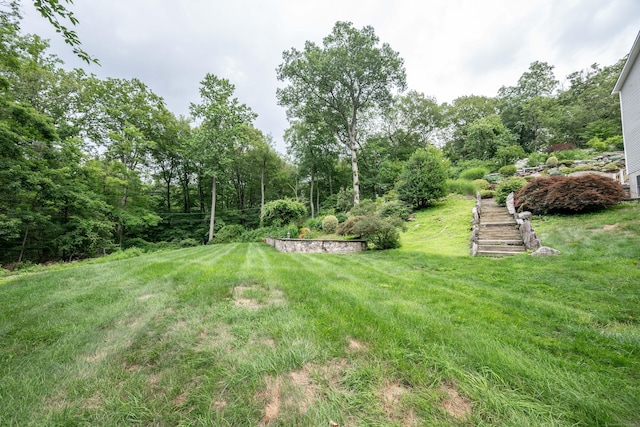 30 Partridge Rd, Stamford, CT 06903 - view of green lawn