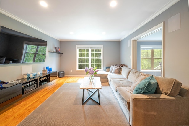 30 Partridge Rd, Stamford, CT 06903 - living room featuring wood finished floors, ornamental molding, and recessed lighting