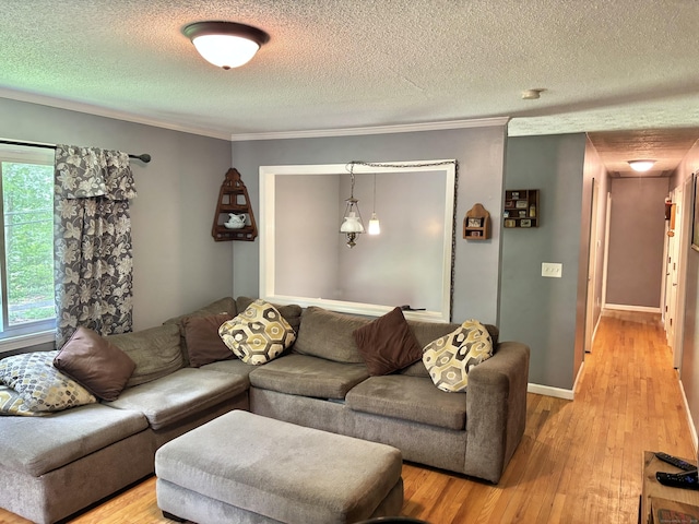 3 Millstream Rd, Hebron, CT 06231 - living area with a textured ceiling, light wood-type flooring, and crown molding