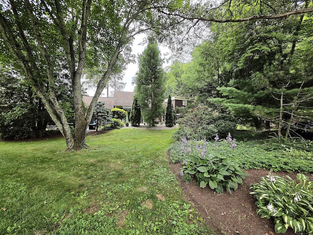 246 Heritage Vlg Unit A, Southbury, CT 06488 - photo 35