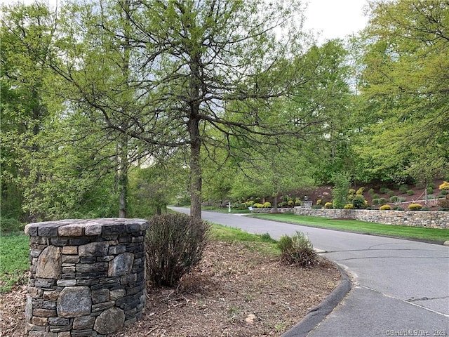 9A Oak Ridge Dr, Newtown, CT 06470