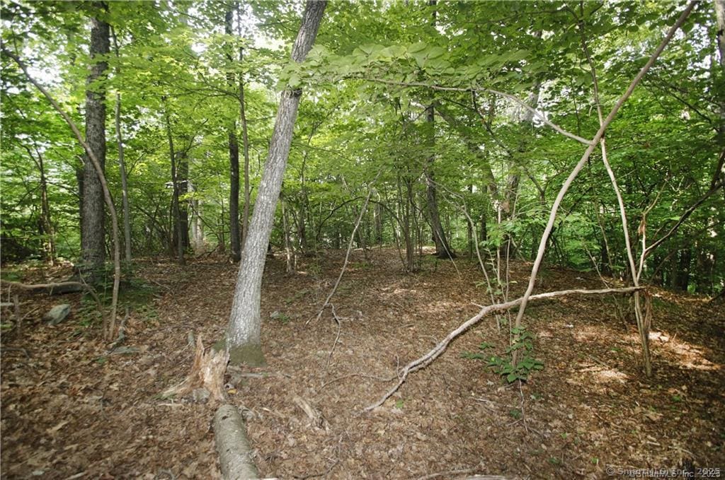 9A Oak Ridge Dr, Newtown, CT 06470
