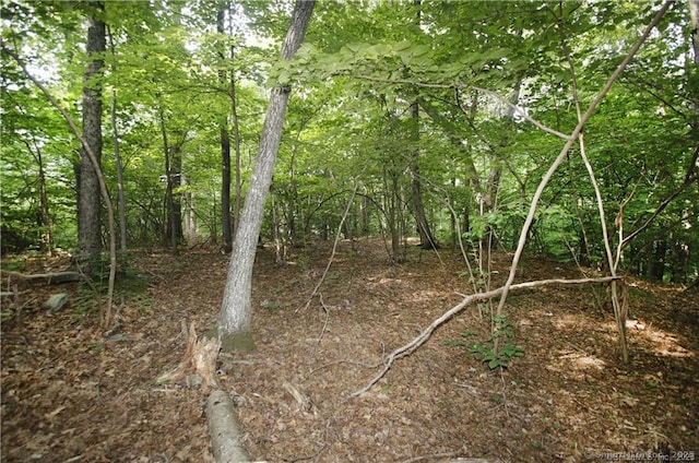 9A Oak Ridge Dr, Newtown, CT 06470