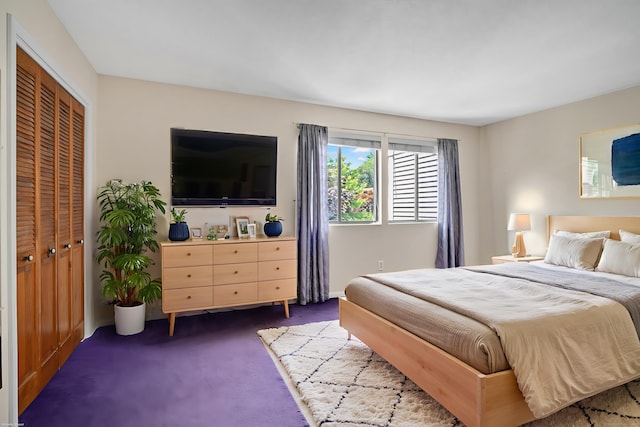55 Wickhams Fancy Unit 55, Canton, CT 06019 - bedroom featuring carpet flooring