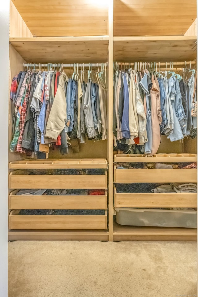10 Leo Ln, Naugatuck, CT 06770 - view of closet