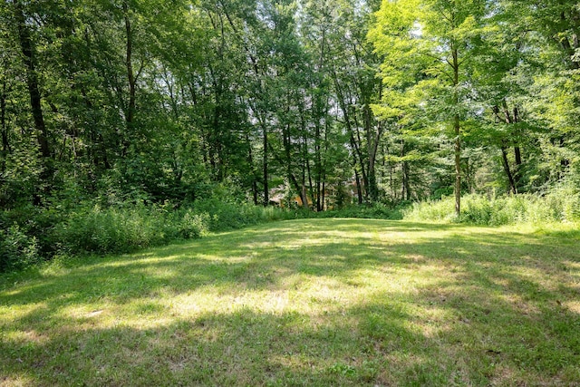 81 Lillis Rd, New Milford, CT 06776 - view of grassy yard