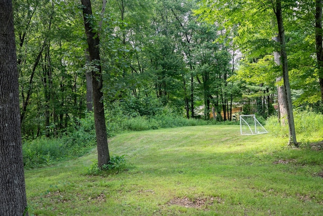 81 Lillis Rd, New Milford, CT 06776 - view of yard featuring a view of trees
