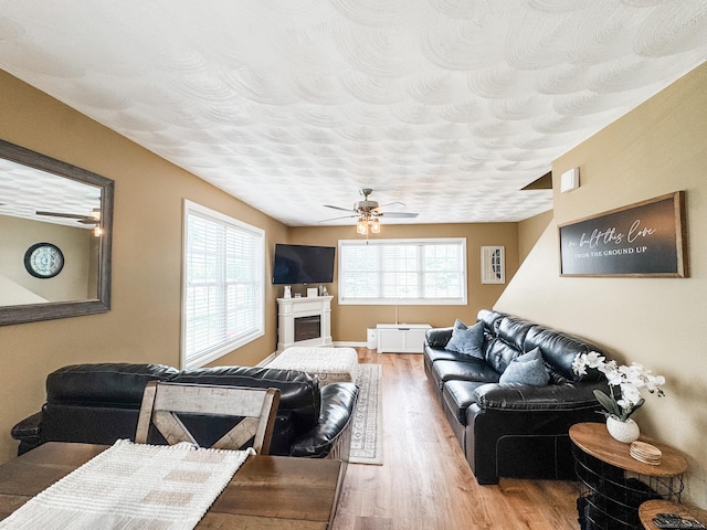 60 Sachem Dr Unit 60, Plainfield, CT 06374 - living room with wood finished floors and ceiling fan