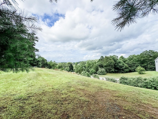 60 Sachem Dr Unit 60, Plainfield, CT 06374 - view of green lawn