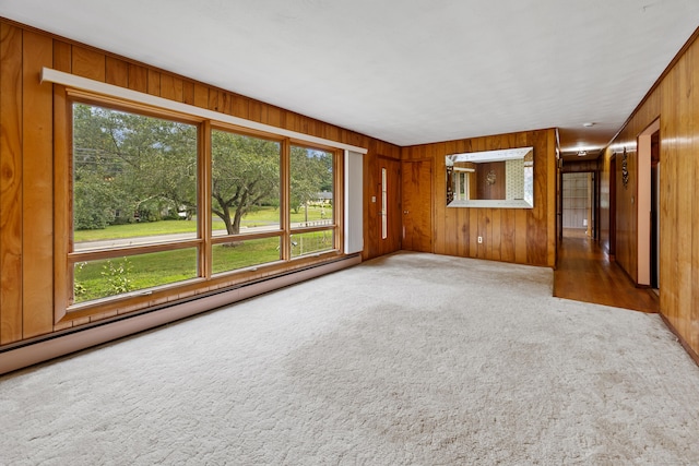 233 Mountain Rd, Cheshire, CT 06410 - spare room featuring carpet flooring, plenty of natural light, wooden walls, and baseboard heating
