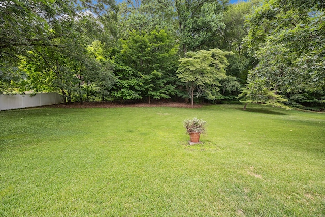 233 Mountain Rd, Cheshire, CT 06410 - view of yard