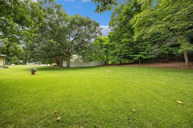 233 Mountain Rd, Cheshire, CT 06410 - view of yard