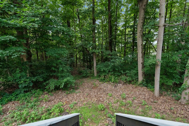 11 Adam Dr, Newington, CT 06111 - view of yard featuring a view of trees