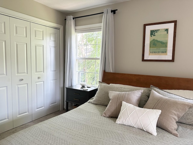 311 Georgetown Dr Unit 311, Glastonbury, CT 06033 - bedroom with a closet, multiple windows, and carpet