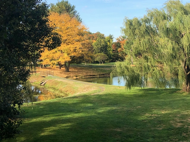 311 Georgetown Dr Unit 311, Glastonbury, CT 06033 - view of property's community featuring a water view and a lawn