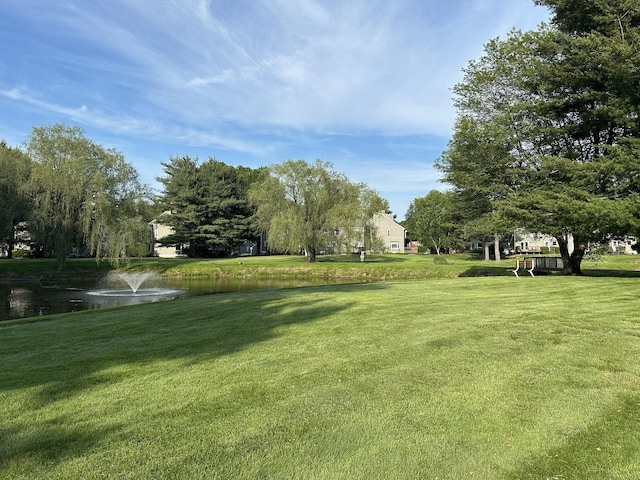 311 Georgetown Dr Unit 311, Glastonbury, CT 06033 - view of green lawn featuring a water view