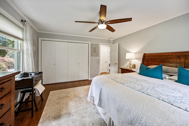 430 Cook Hill Rd, Cheshire, CT 06410 - bedroom featuring dark wood finished floors, crown molding, a closet, a ceiling fan, and an office area