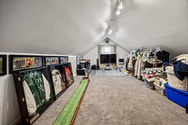 430 Cook Hill Rd, Cheshire, CT 06410 - rec room featuring rail lighting, carpet, and vaulted ceiling