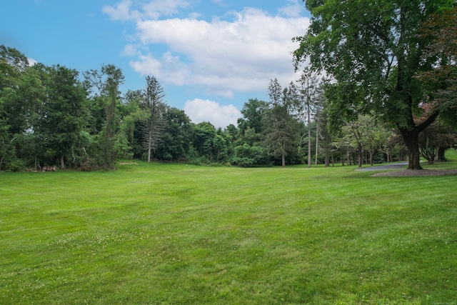 430 Cook Hill Rd, Cheshire, CT 06410 - view of green lawn featuring a forest view
