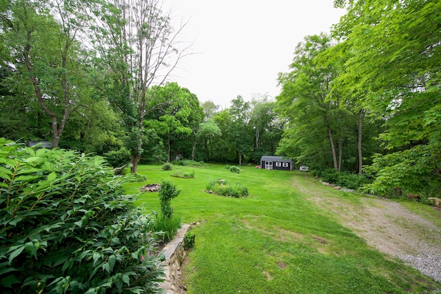 593 Northfield Rd, Watertown, CT 06795 - view of grassy yard with driveway