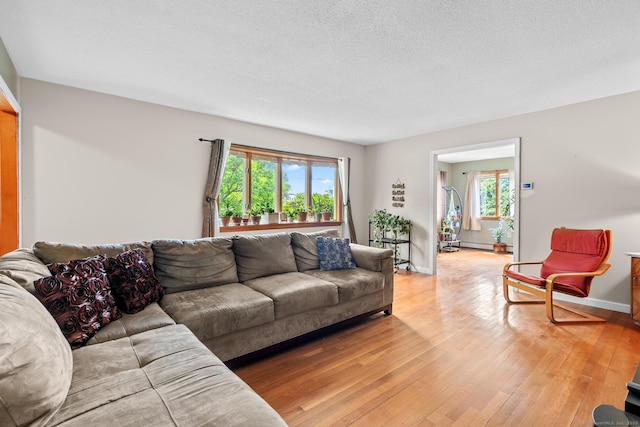 61 Mansfield Rd, New London, CT 06320 - living area with healthy amount of natural light, light wood-style flooring, and a textured ceiling