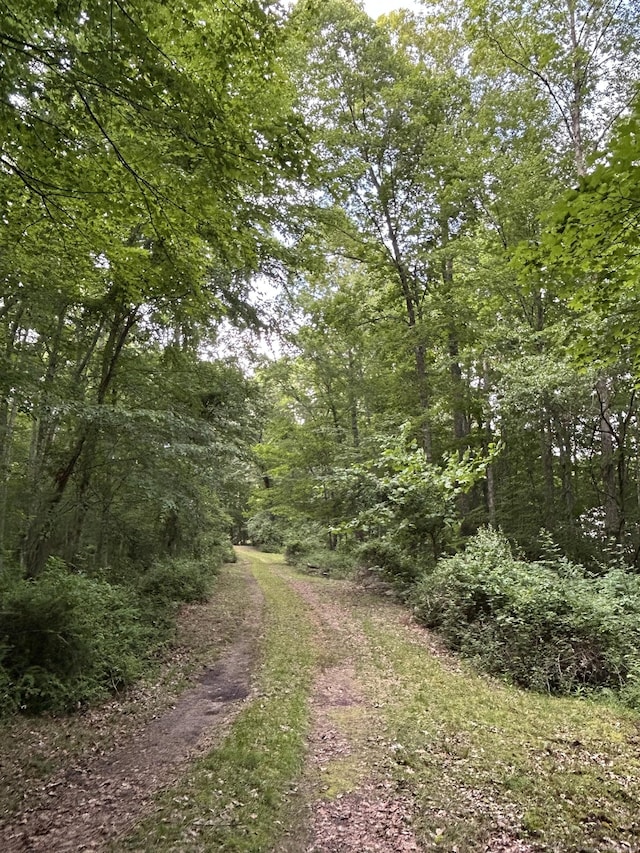 78 Salt Rock Rd, Sprague, CT 06330