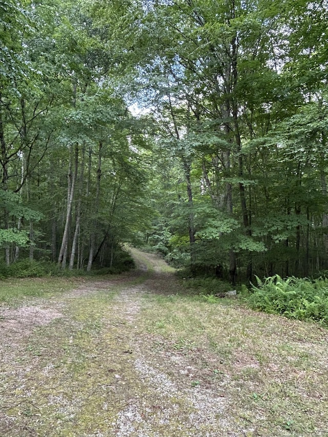 78 Salt Rock Rd, Sprague, CT 06330