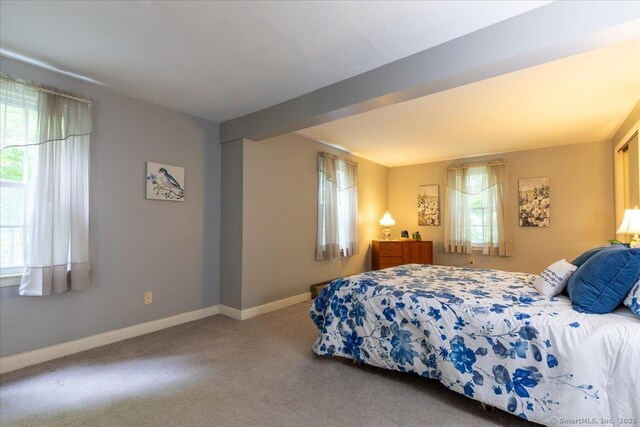 169 Wheeling Rd, Andover, CT 06232 - bedroom with carpet floors and baseboards